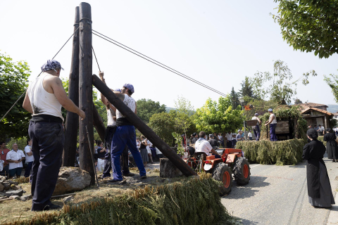 Baztandarren biltzarra en Elizondo: carrozas participantes y público asistente