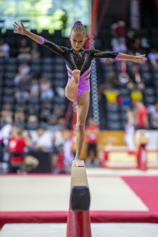 Gimnasia artística en el Navarra Arena.
