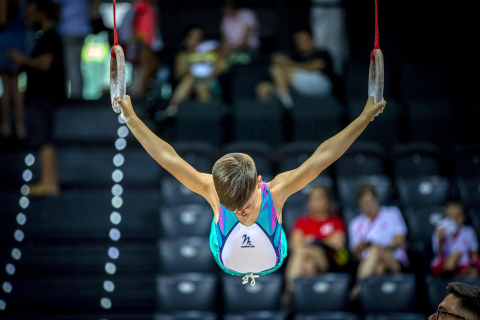 Gimnasia artística en el Navarra Arena.