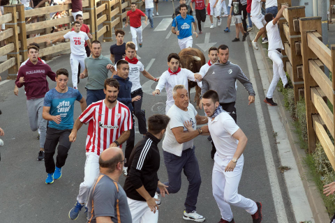 Primer encierro de las fiestas de Tudela 2022.