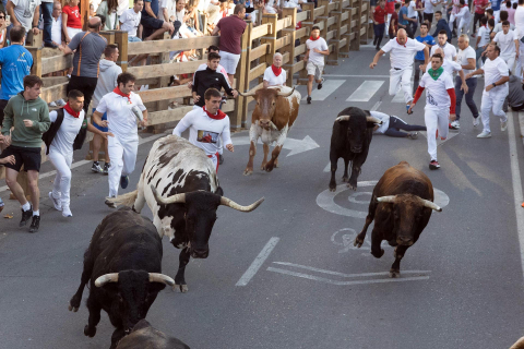 Primer encierro de las fiestas de Tudela 2022.
