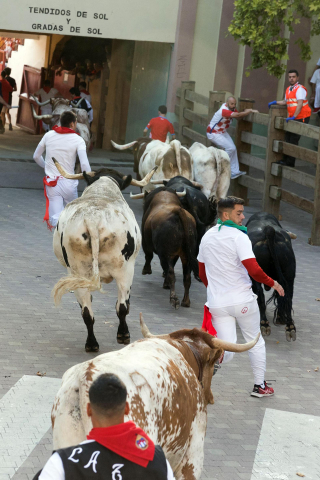 Primer encierro de las fiestas de Tudela 2022.