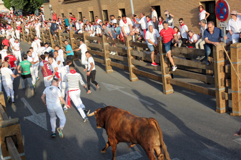 Primer encierro de las fiestas de Tudela 2022.