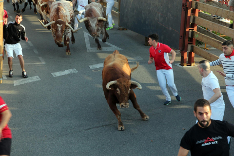 Primer encierro de las fiestas de Tudela 2022.