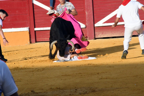 Primer encierro de las fiestas de Tudela 2022.