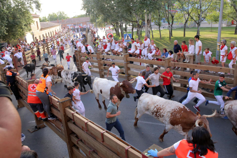 Primer encierro de las fiestas de Tudela 2022.