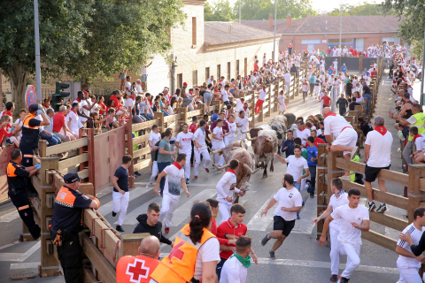 Primer encierro de las fiestas de Tudela 2022.