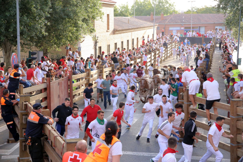 Primer encierro de las fiestas de Tudela 2022.