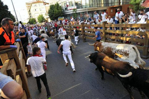 Primer encierro de las fiestas de Tudela 2022.