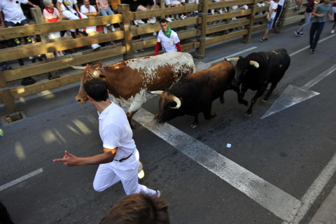 Primer encierro de las fiestas de Tudela 2022.