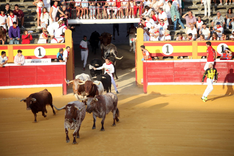 Primer encierro de las fiestas de Tudela 2022.