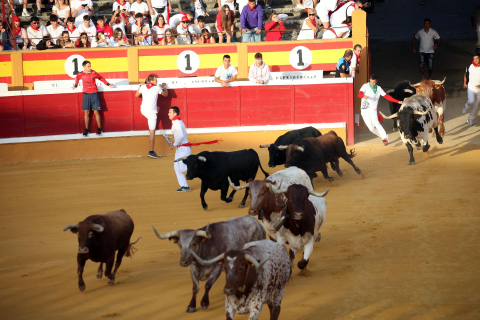 Primer encierro de las fiestas de Tudela 2022.