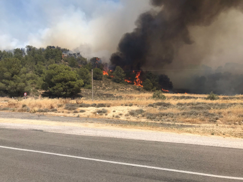 Incendio de Carcastillo
