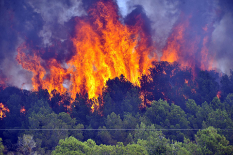 Fotos del incendio de Carcastillo.