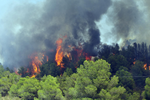Fotos del incendio de Carcastillo.