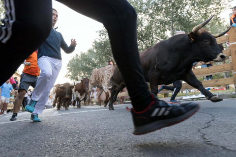 cuarto encierro de fiestas de Tudela