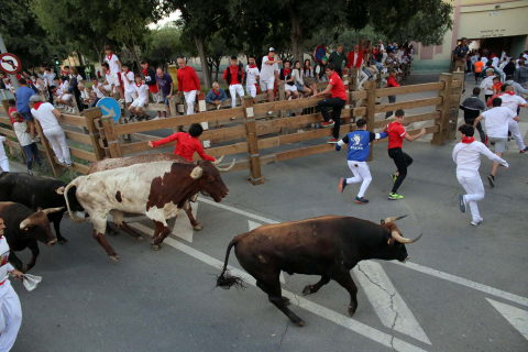 cuarto encierro de fiestas de Tudela