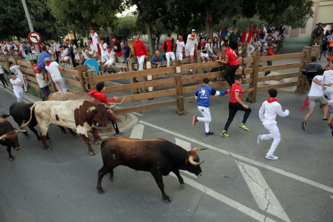 cuarto encierro de fiestas de Tudela