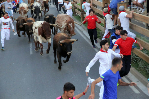 cuarto encierro de fiestas de Tudela