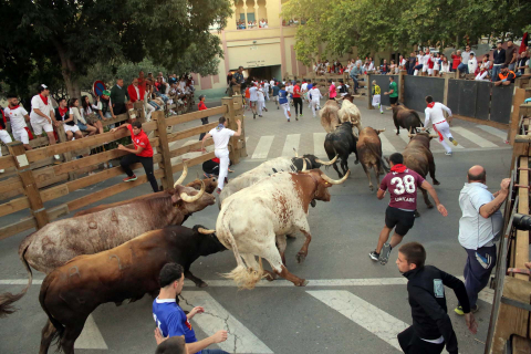 cuarto encierro de fiestas de Tudela