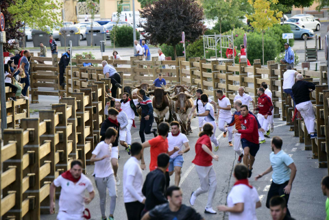 cuarto encierro de fiestas de Tudela