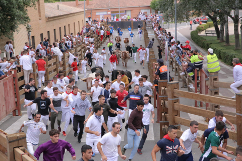 Imagen del quinto encierro de Tudela 2022./