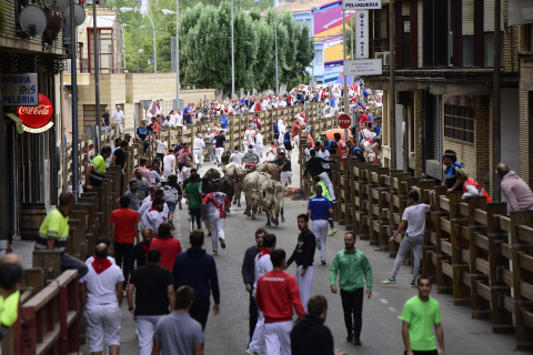 Imagen del quinto encierro de Tudela 2022./