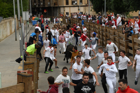 Imagen del quinto encierro de Tudela 2022./