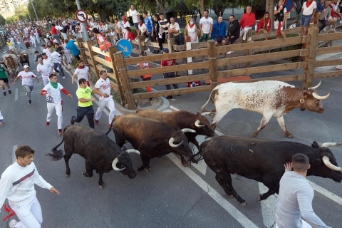 Sexto encierro Tudela