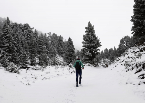 nieve belagua