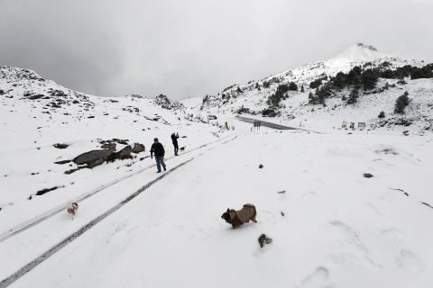 NIEVE NAVARRA