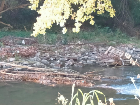 Las orillas del Arga se tendrían que limpiar de troncos ramas y desperdicios antes de las crecidas