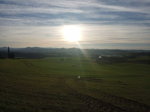 amanecer artazu