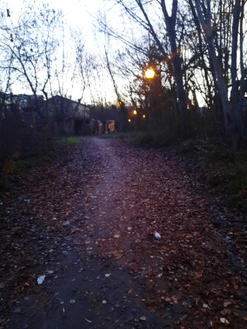 Paseo por el Sadar