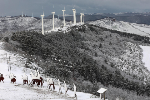 Fotos de la nevada en Pamplona: Las bellas estampas de la nieve