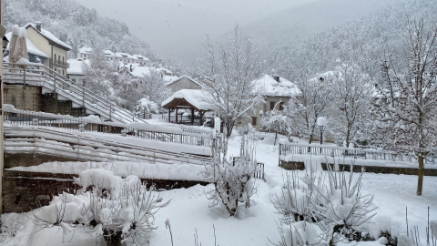 Isaba nieve