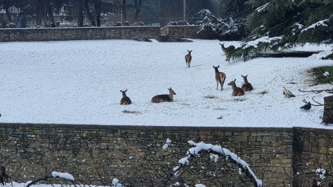 Nieve en Pamplona