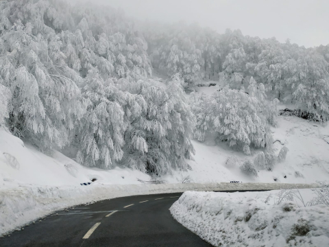 Puerto de Ibañeta nevado.