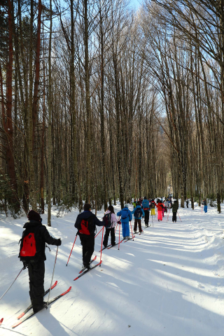Imágenes de los alumnos navarros en la Semana Blanca