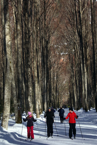 Imágenes de los alumnos navarros en la Semana Blanca