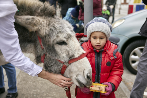 Fotos de los quintos en el día de Santa Águeda de Alsasua.