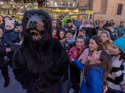 carnaval estella