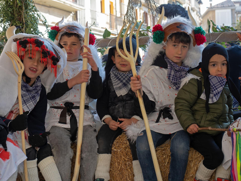 carnaval estella