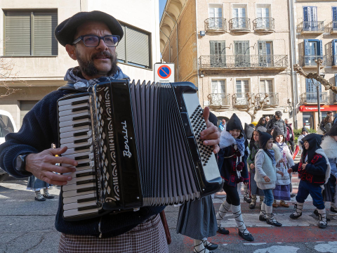 carnaval estella