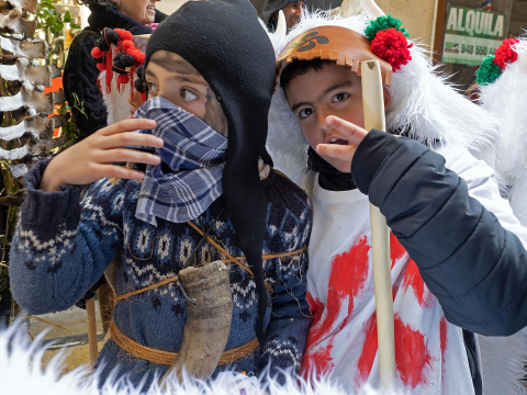 carnaval estella