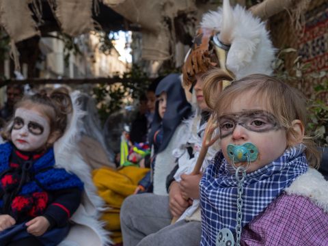 carnaval estella