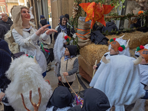 carnaval estella