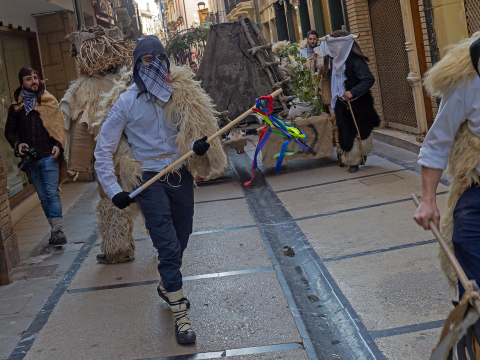 carnaval estella