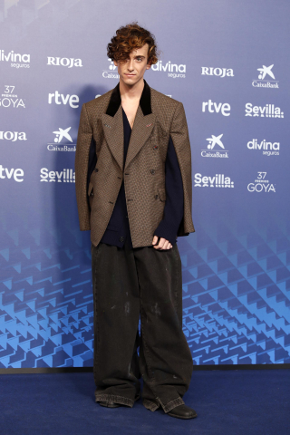 alfombra roja premios goya 2023