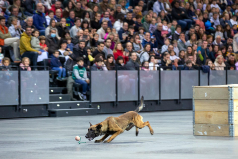 Jornada de puertas abiertas de la Policía foral en el Navarra Arena./